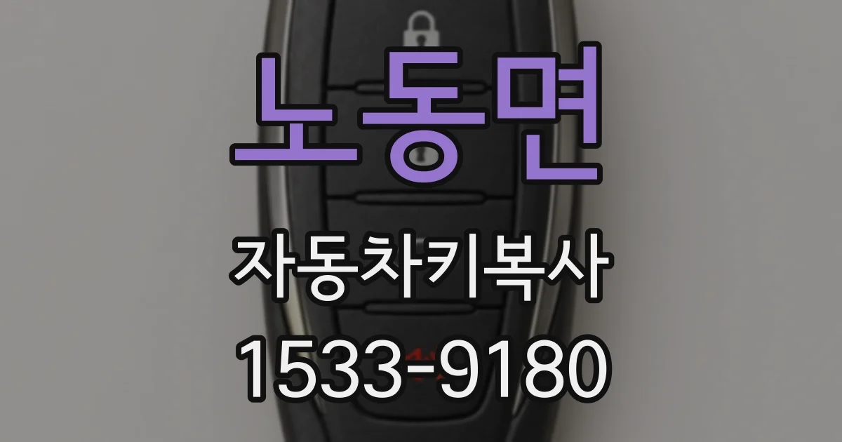 노동면 자동차키복사