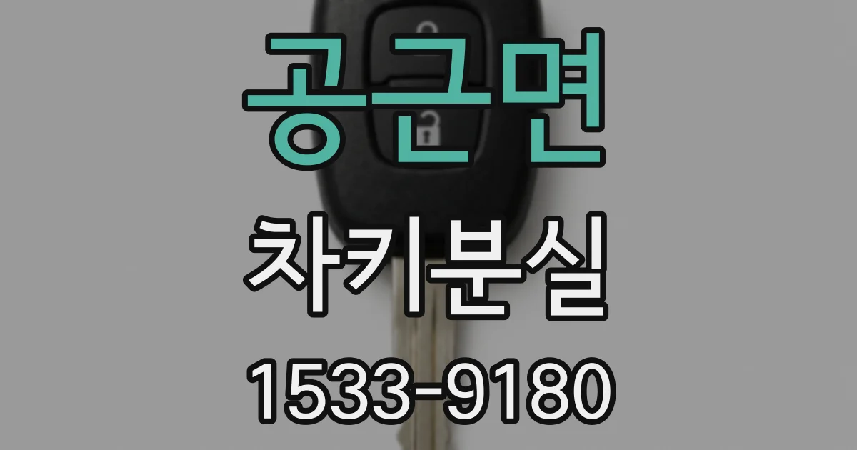 공근면 차키분실