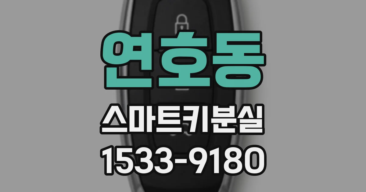 연호동 스마트키분실