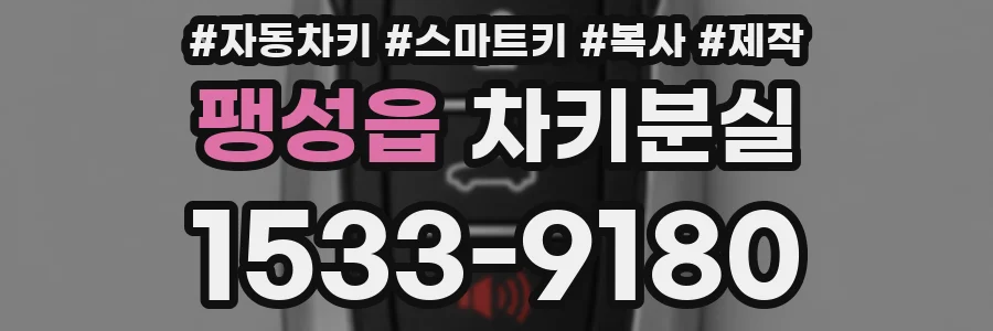 팽성읍 차키분실