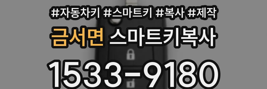 금서면 스마트키복사