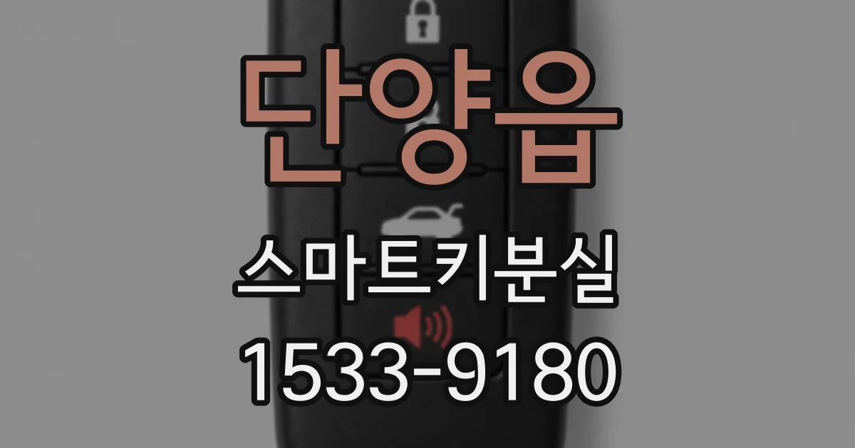 단양읍 스마트키분실