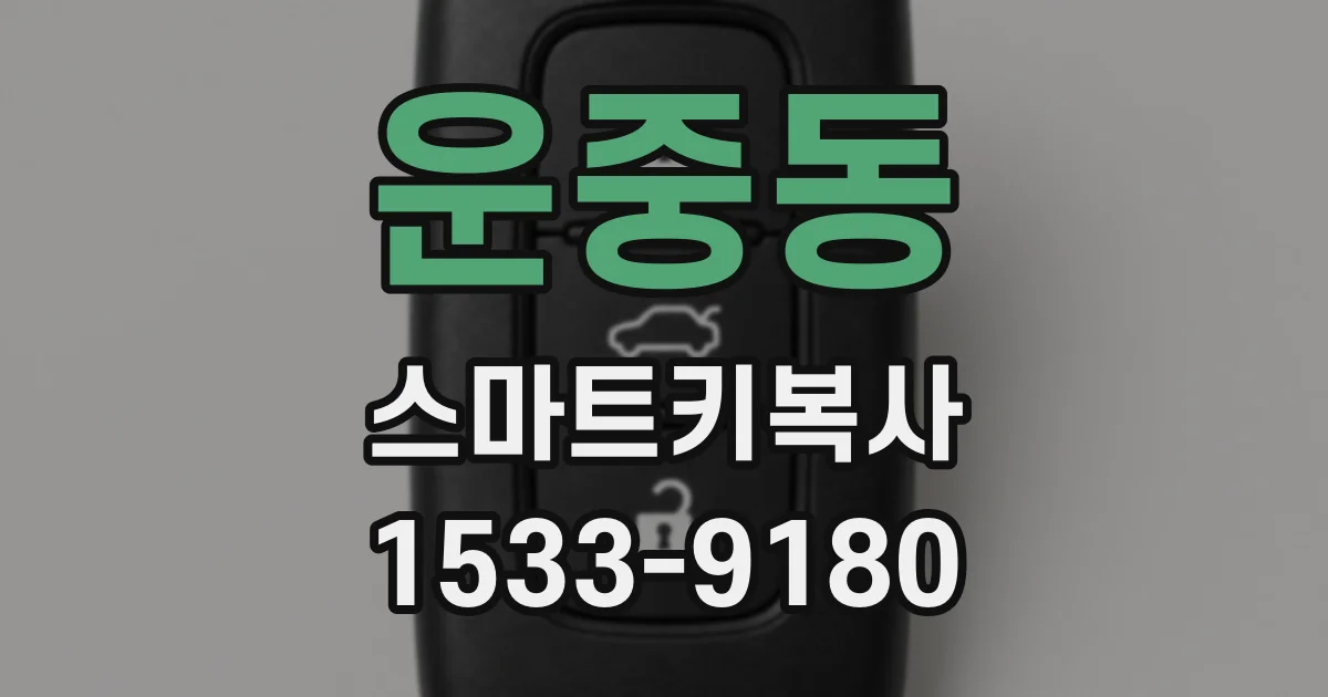 운중동 스마트키복사