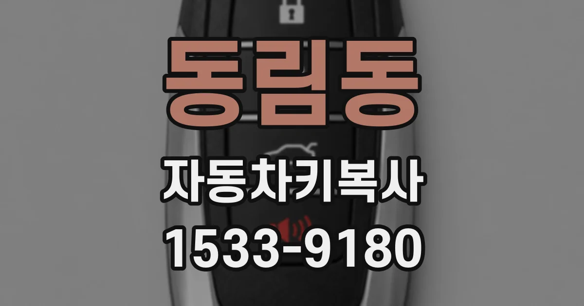 동림동 자동차키복사