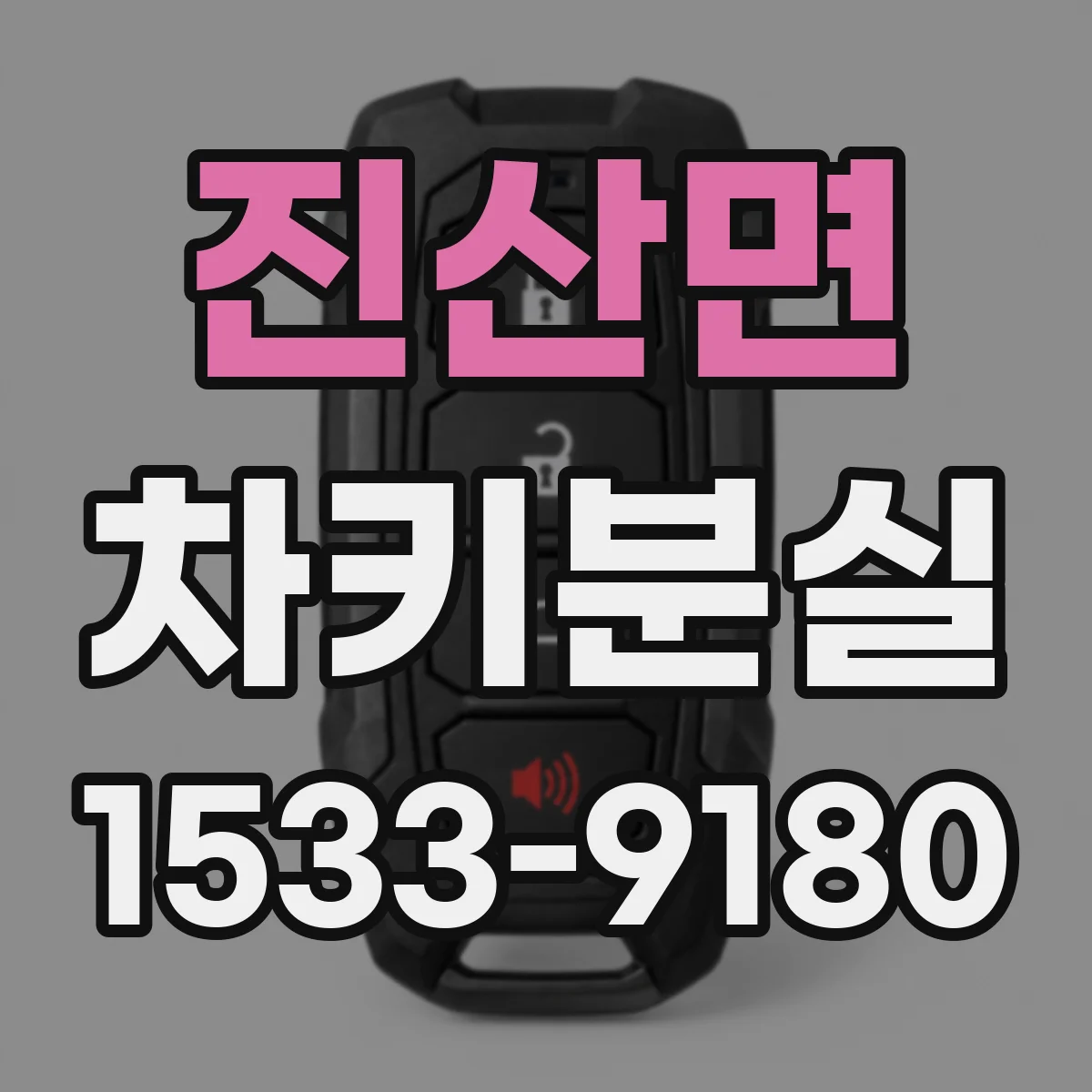 진산면 차키분실