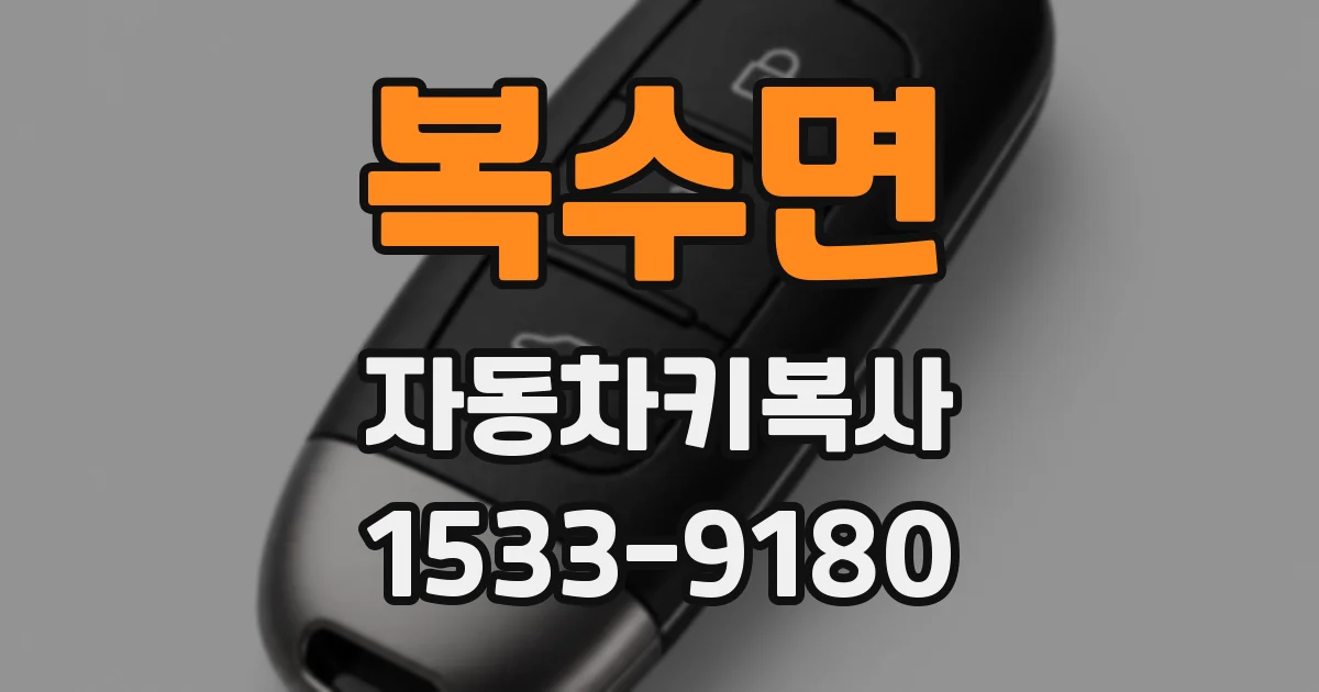 복수면 자동차키복사