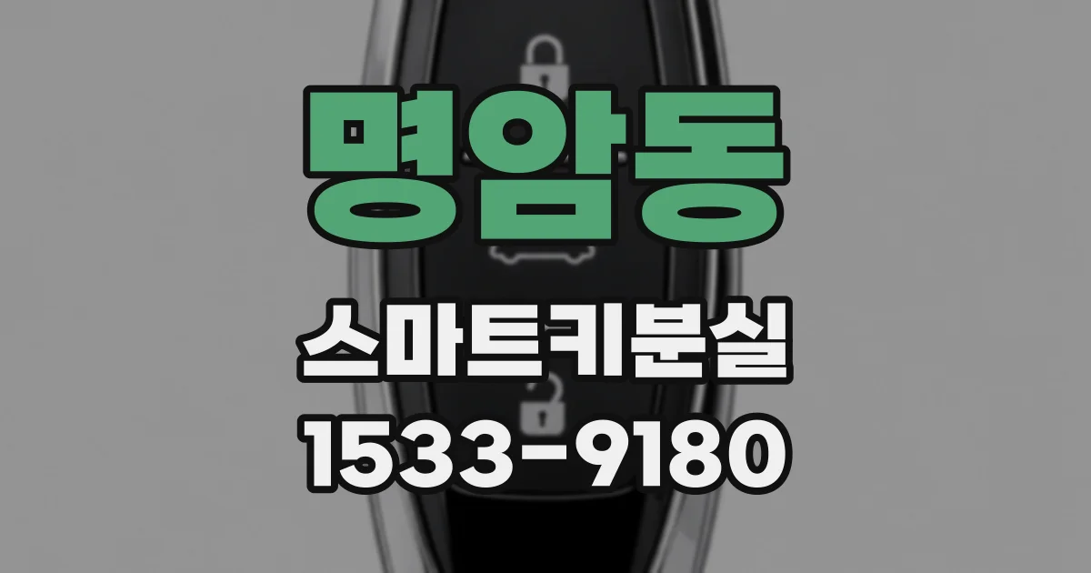 명암동 스마트키분실