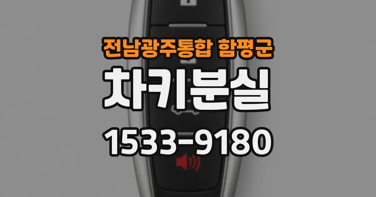전남광주통합 함평군 차키분실