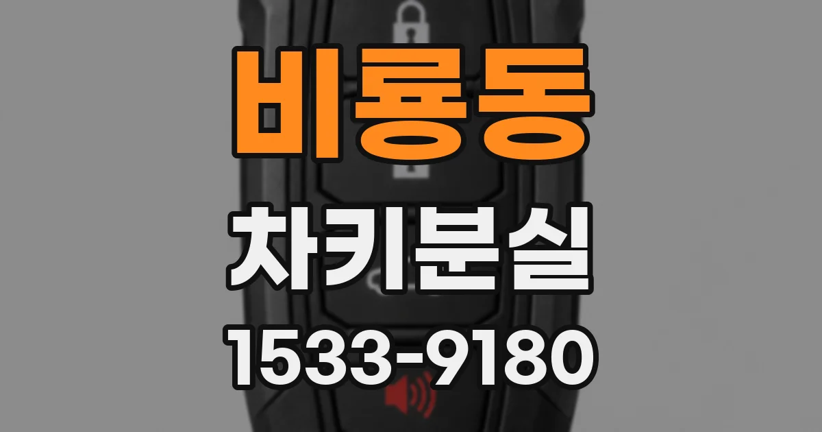 비룡동 차키분실