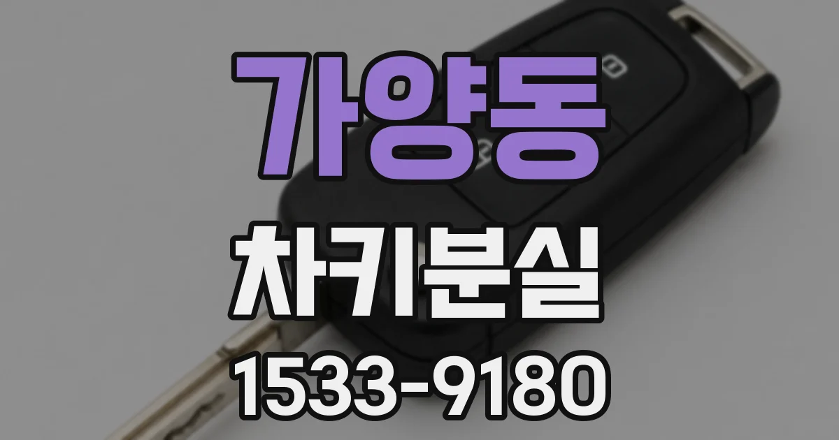 가양동 차키분실