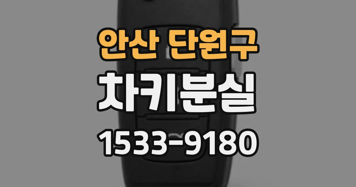 안산 단원구 차키분실