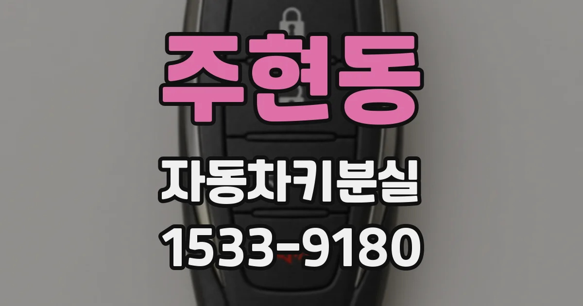 주현동 자동차키분실