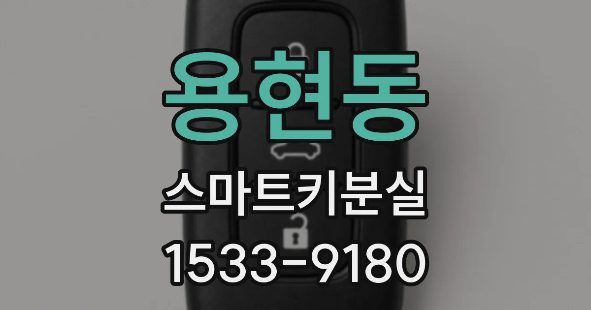 용현동 스마트키분실