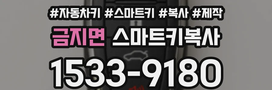 금지면 스마트키복사