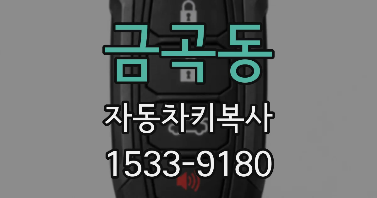 금곡동 자동차키복사