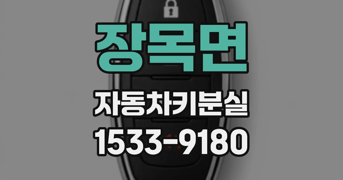 장목면 자동차키분실