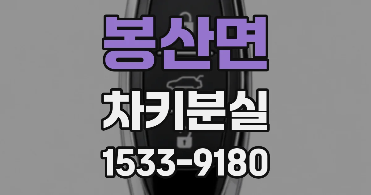 봉산면 차키분실