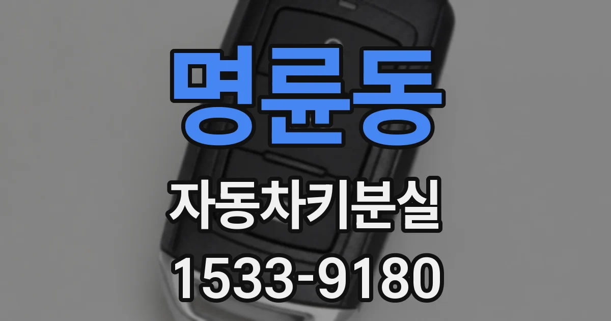 명륜동 자동차키분실