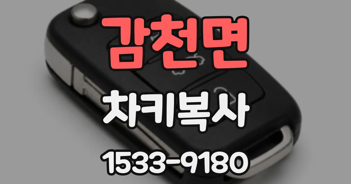 감천면 차키복사