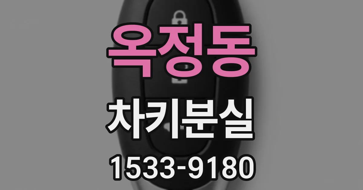 옥정동 차키분실