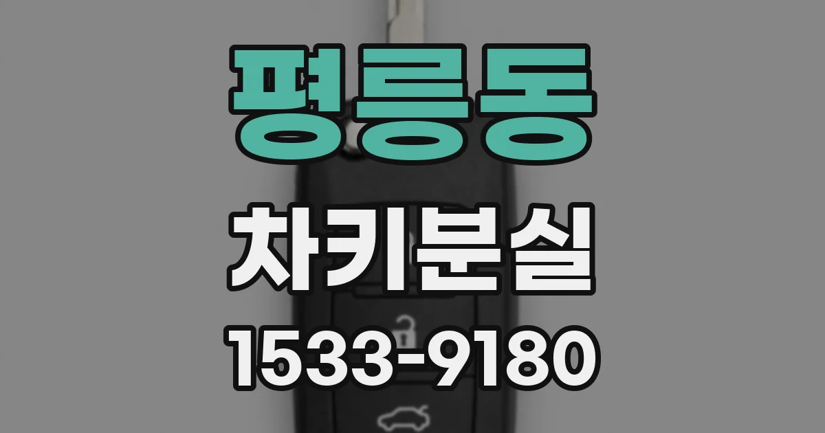 평릉동 차키분실