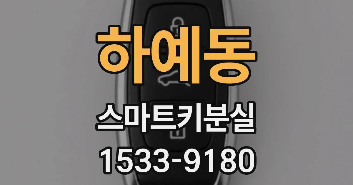 하예동 스마트키분실