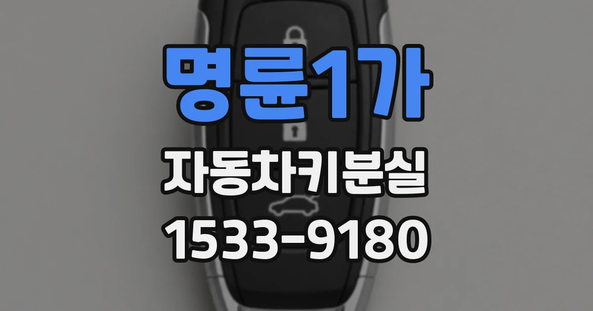 명륜1가 자동차키분실