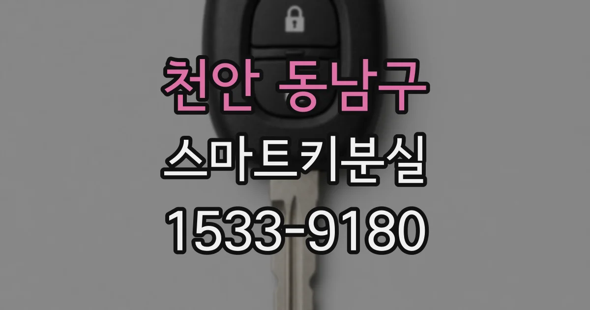 천안 동남구 스마트키분실