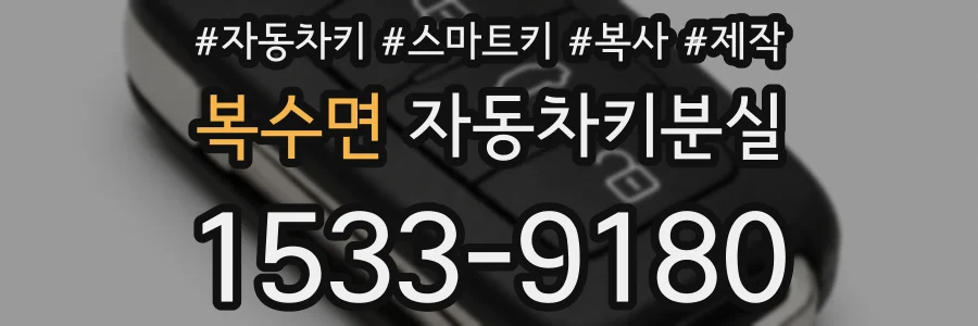 복수면 자동차키분실