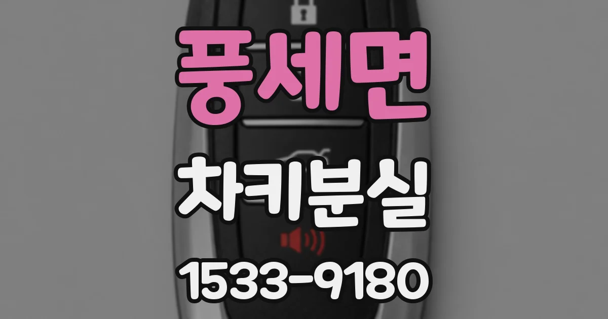 풍세면 차키분실