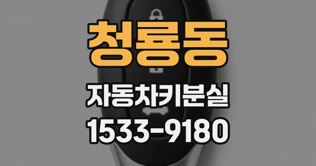 청룡동 자동차키분실