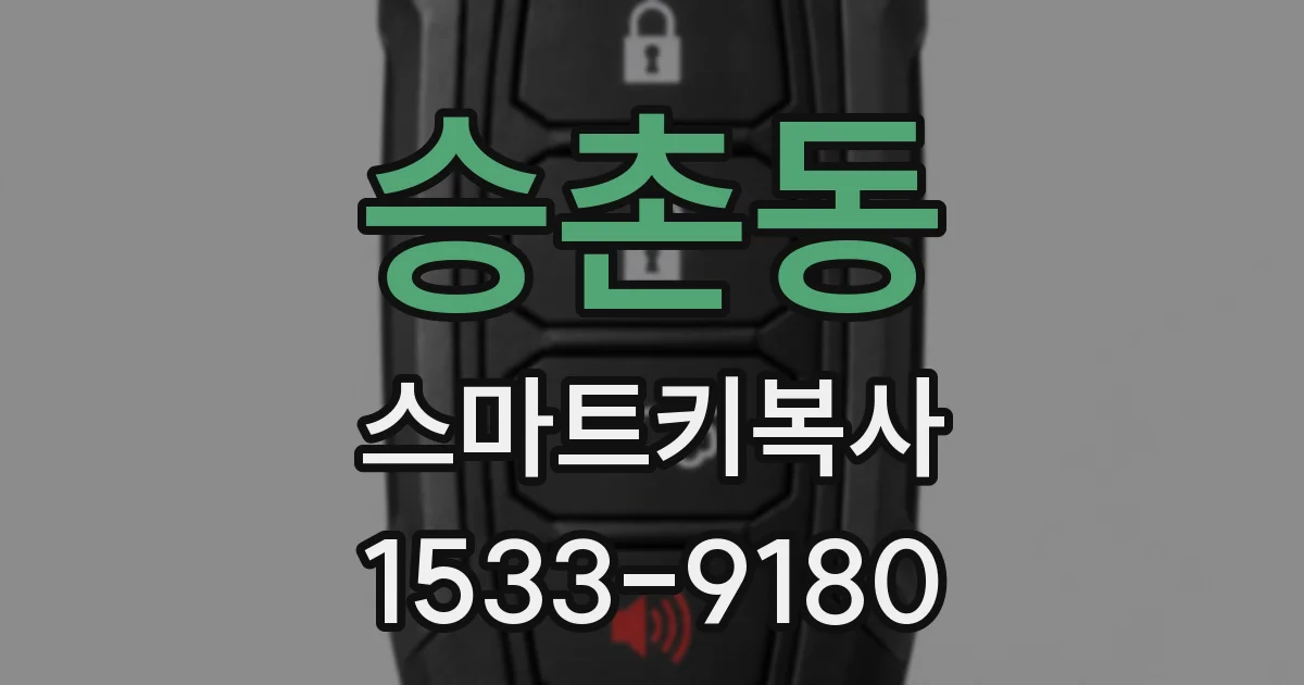 승촌동 스마트키복사