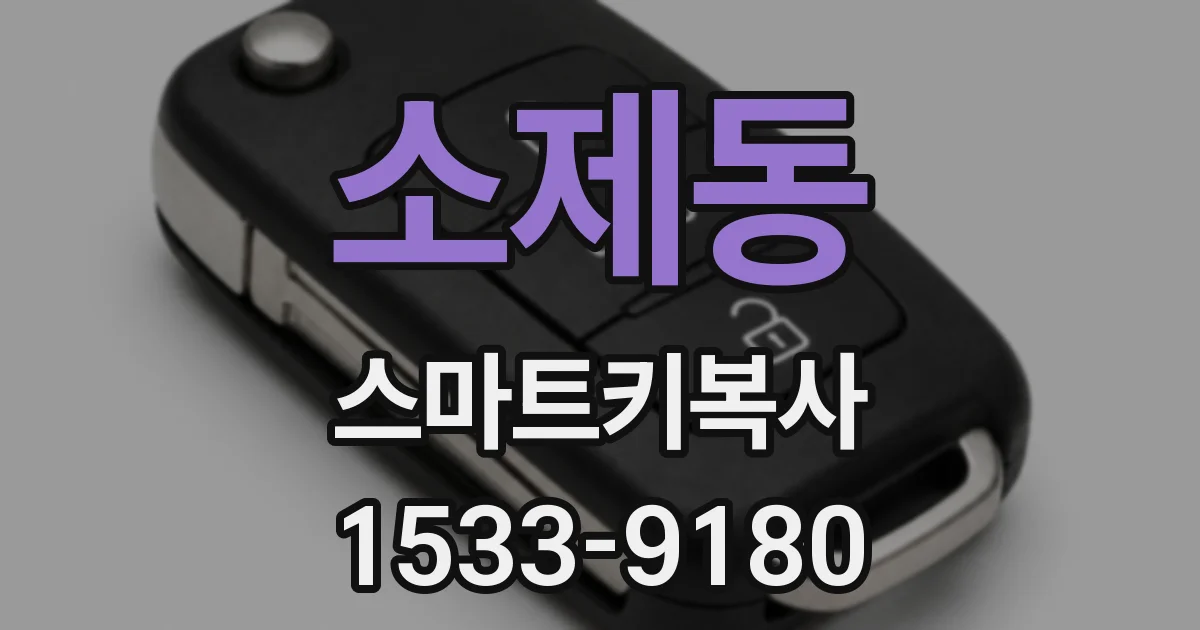 소제동 스마트키복사