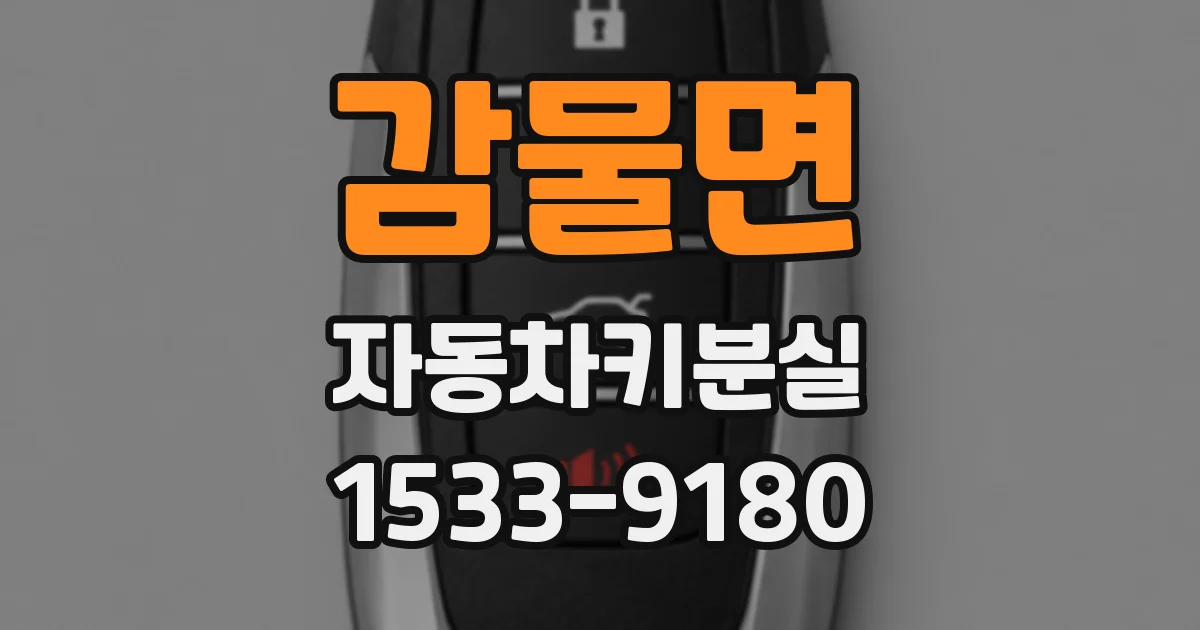 감물면 자동차키분실