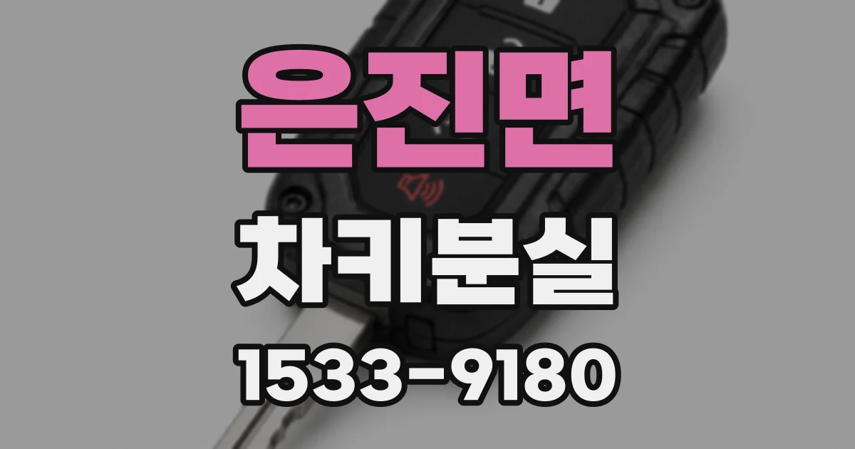 은진면 차키분실