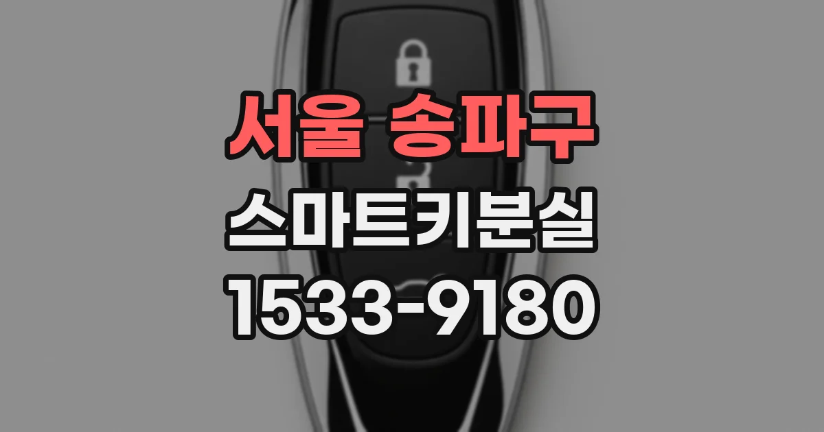 서울 송파구 스마트키분실