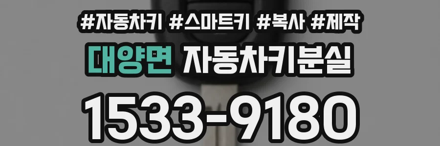대양면 자동차키분실
