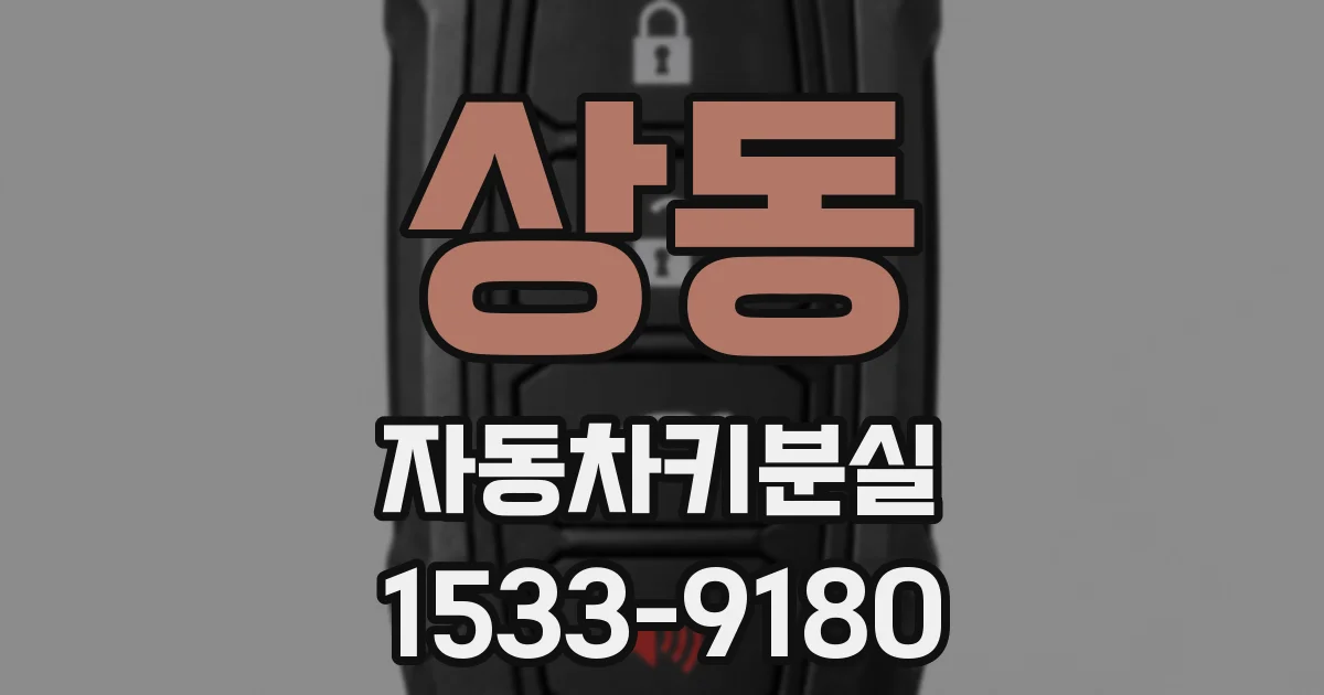 상동 자동차키분실
