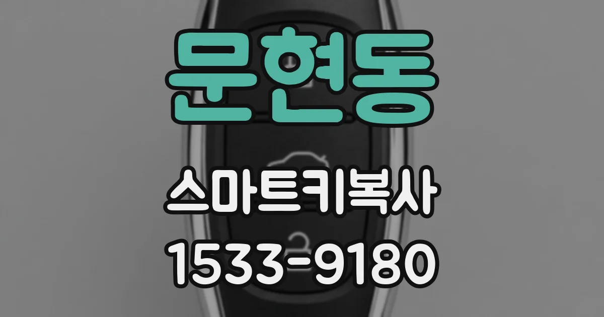 문현동 스마트키복사