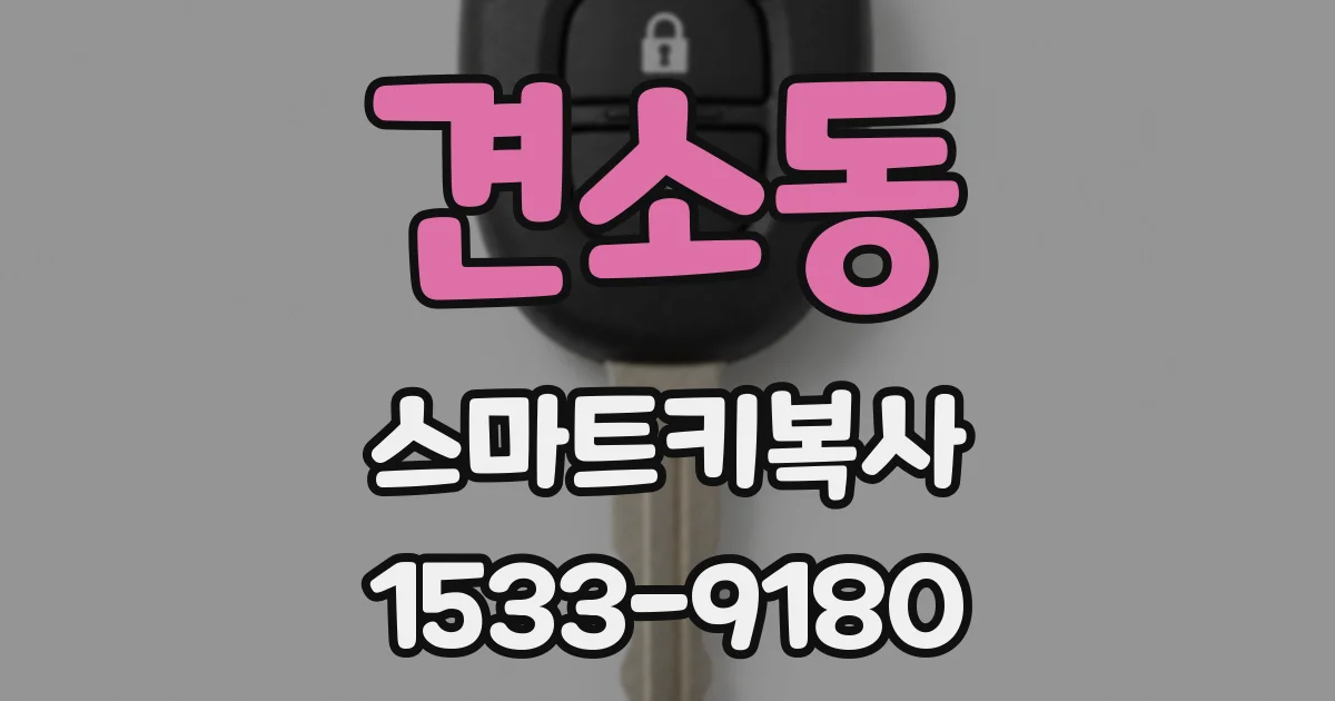 견소동 스마트키복사