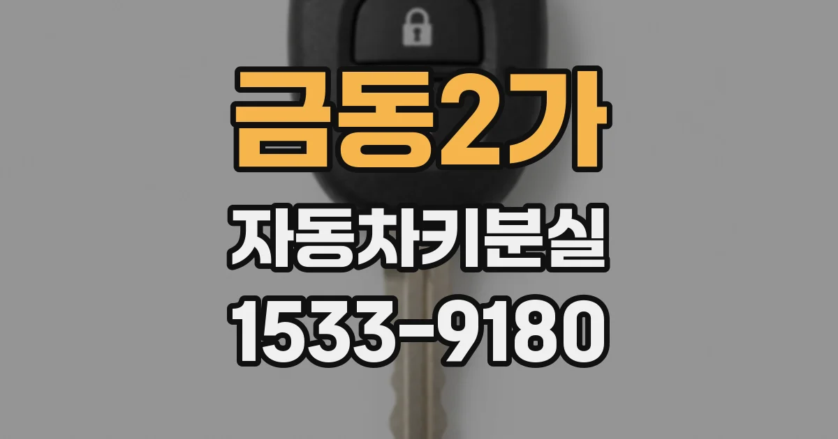 금동2가 자동차키분실