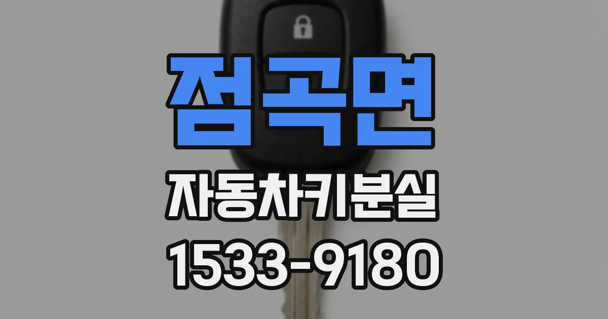 점곡면 자동차키분실