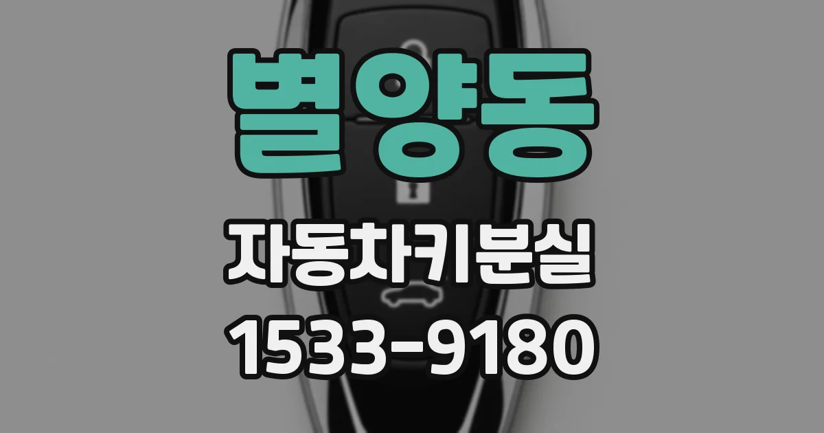 별양동 자동차키분실