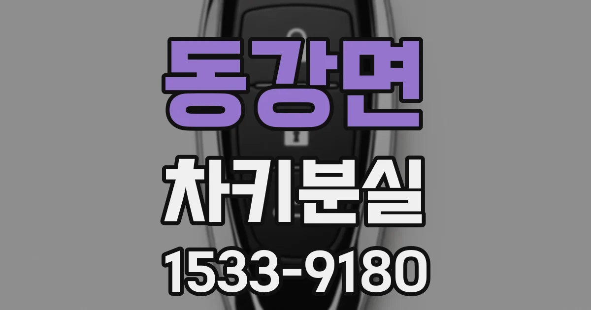 동강면 차키분실