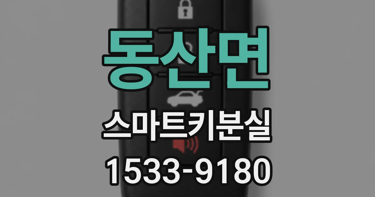 동산면 스마트키분실