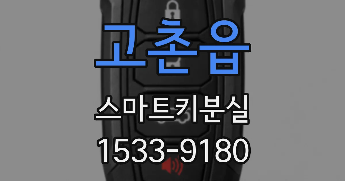 고촌읍 스마트키분실