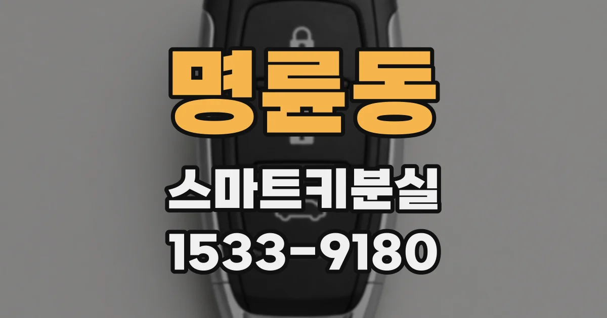 명륜동 스마트키분실