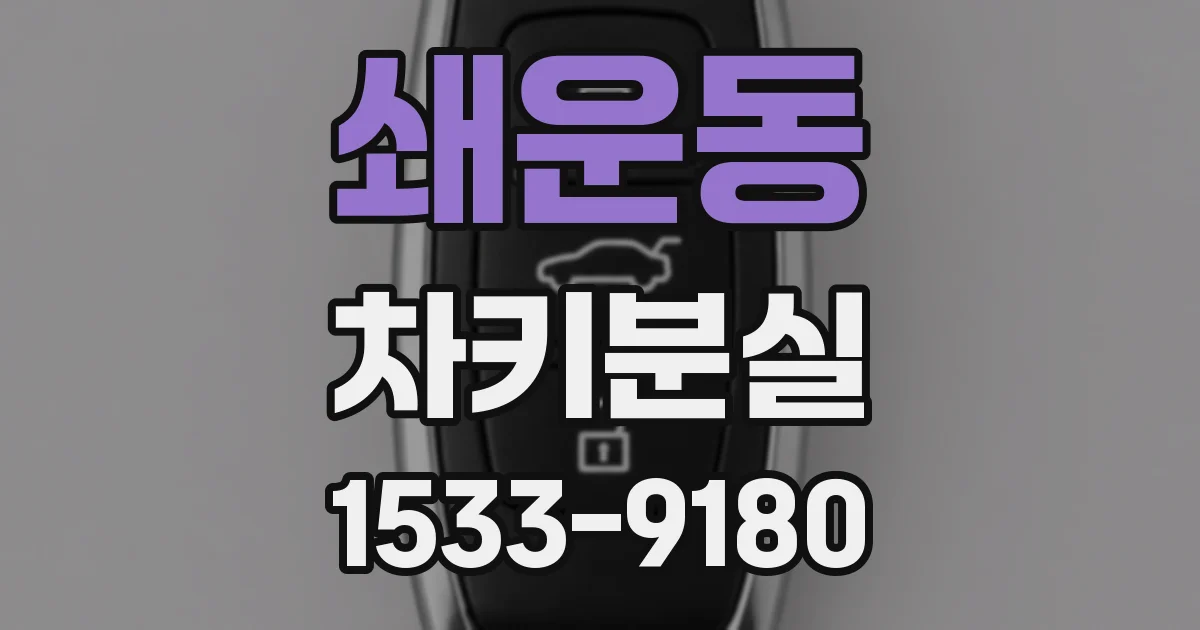 쇄운동 차키분실