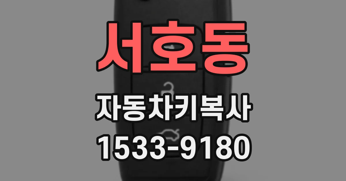서호동 자동차키복사