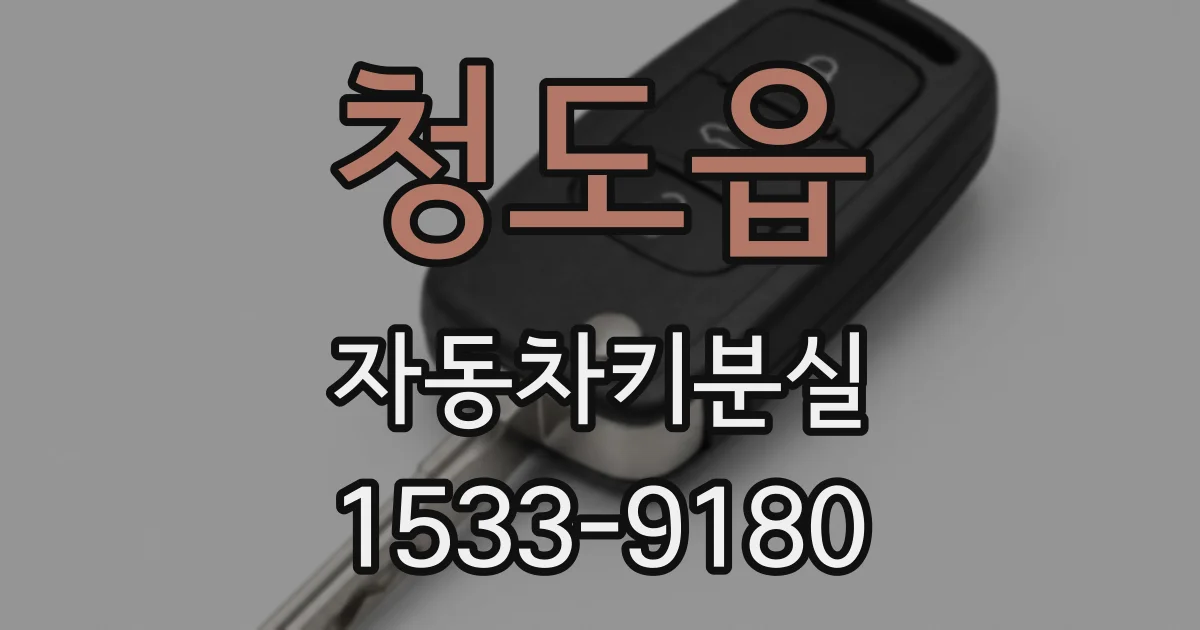 청도읍 자동차키분실